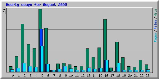 Hourly usage for August 2025